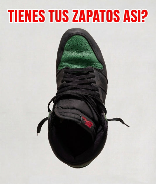 Protector Anti-Pliegues